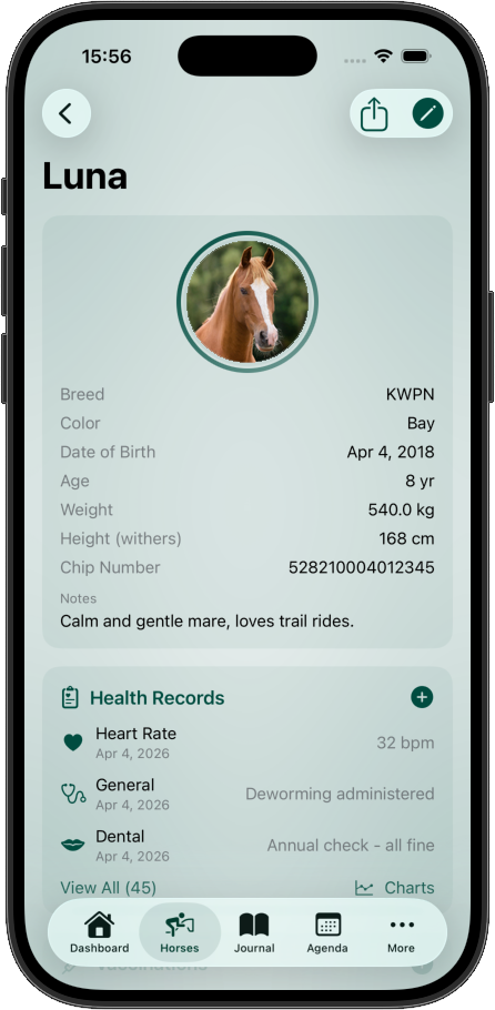 Equory iPhone dashboard with horse profiles and quick actions